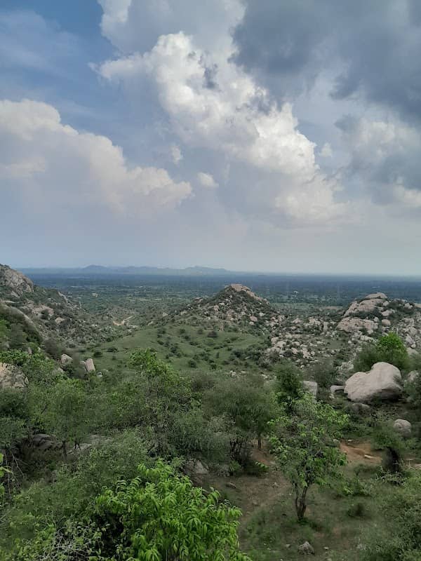 Hill Station - Image 1