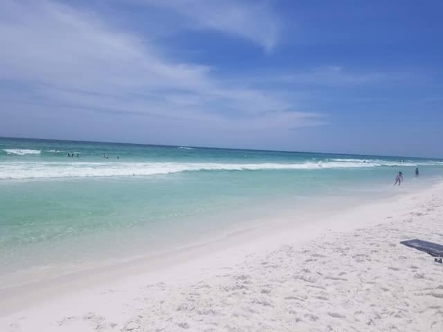 Henderson Beach State Park - Image 3