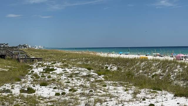 Henderson Beach State Park - Image 2