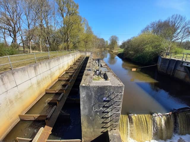 Fischtreppe Wümme-Südarm - Image 1