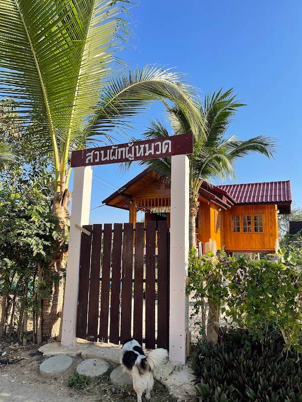 สวนผักผู้หมวด - Image 2