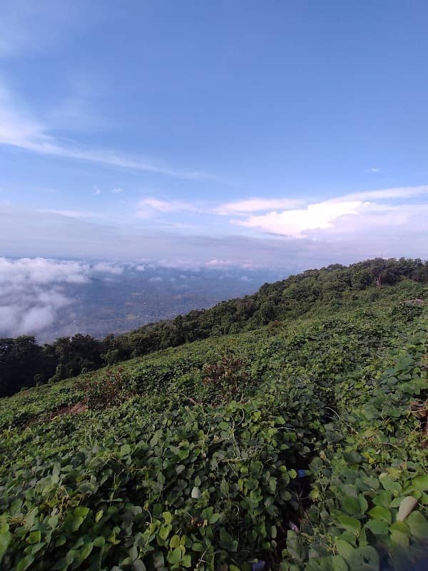 Chithravattom View Point - Image 1