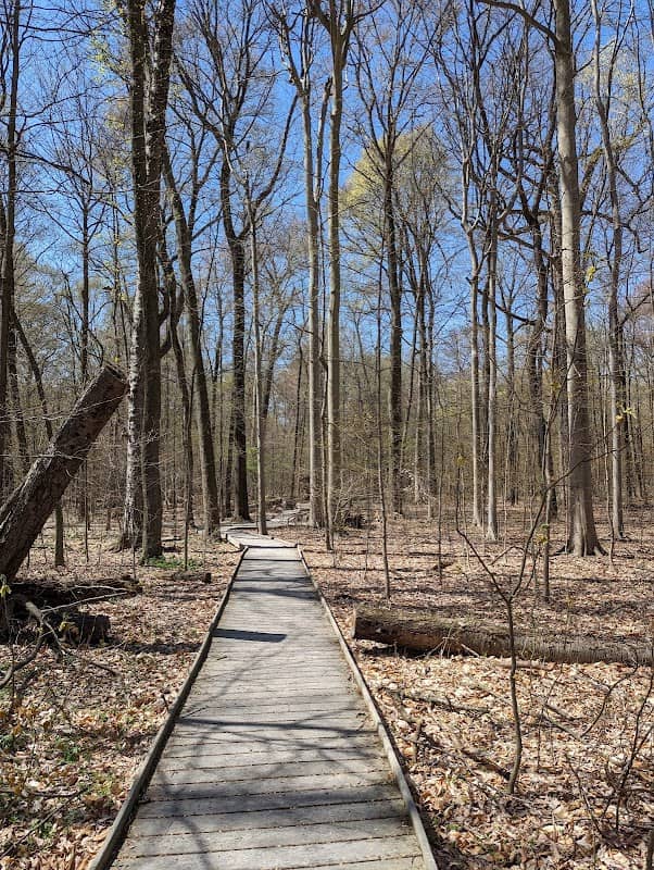 Johnson Woods State Nature Preserve - Image 1