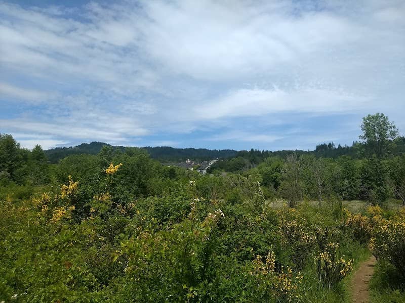 Chepenafa Springs Park - Image 2
