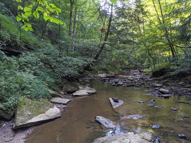 Worthington Community Park - Image 1