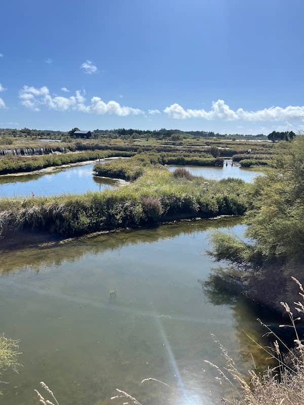 Marais salants de l'île d'Olonne - Image 1
