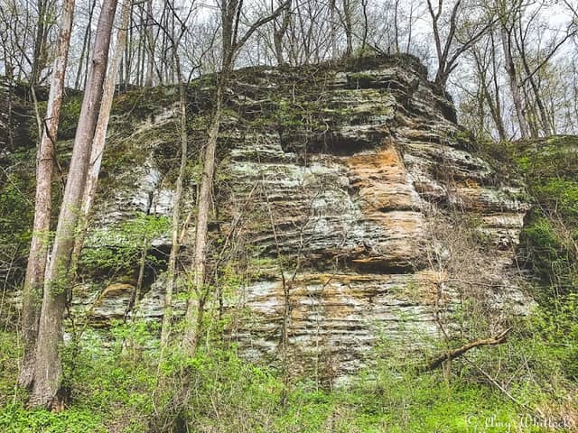 Bluffs of Beaver Bend - Image 1