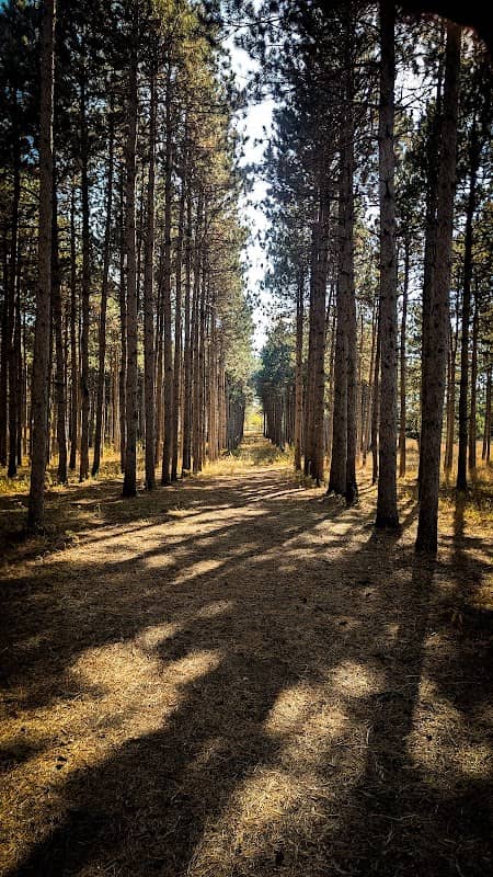 Montissippi County Park - Image 2