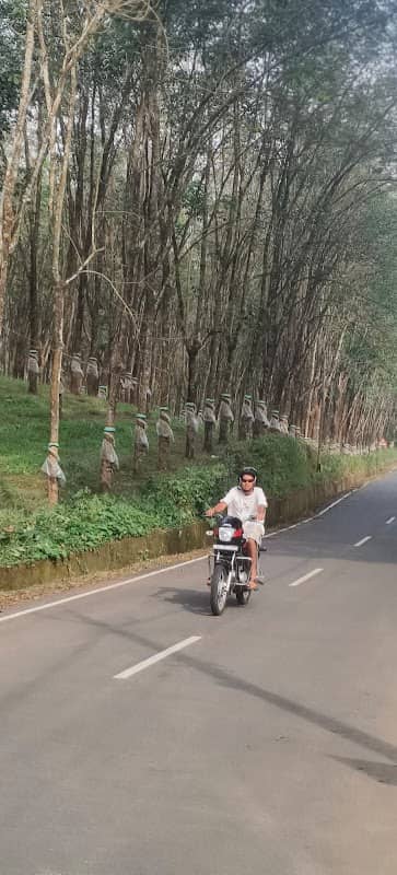 Iconic appunte veedu - Image 2