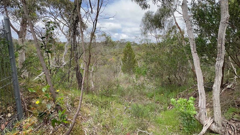 Barossa Goldfields - Image 1