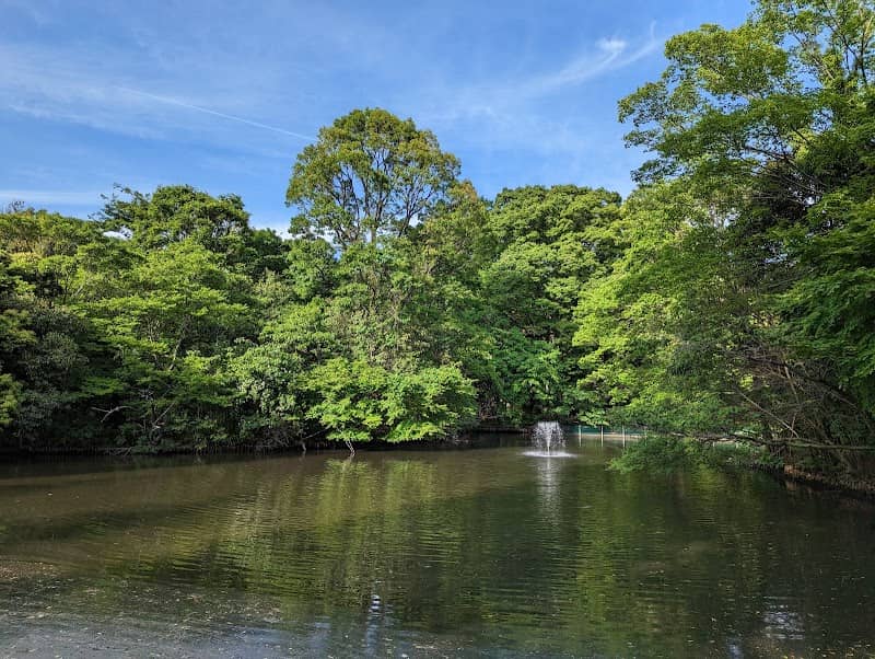Wadabori Park - Image 2