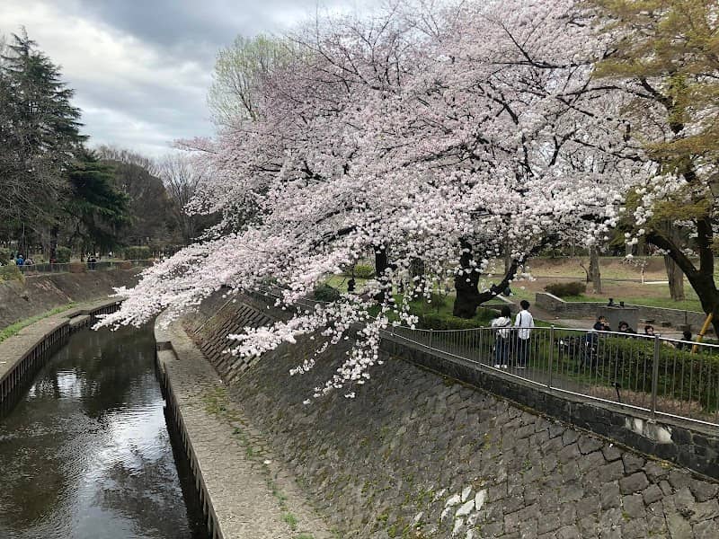 Wadabori Park - Image 1