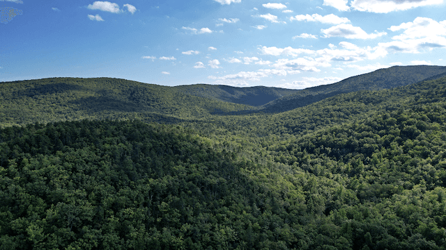 Mills Creek Reservoir - Image 1