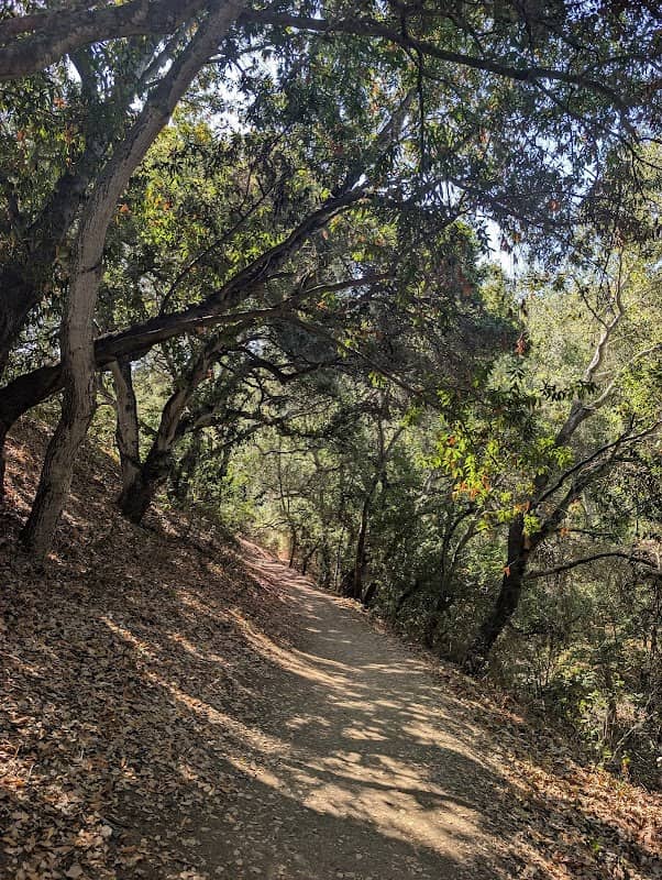 Dry Creek Trail - Image 2