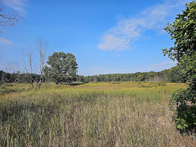 Five Lakes Muskegon Nature Sanctuary - Image 1