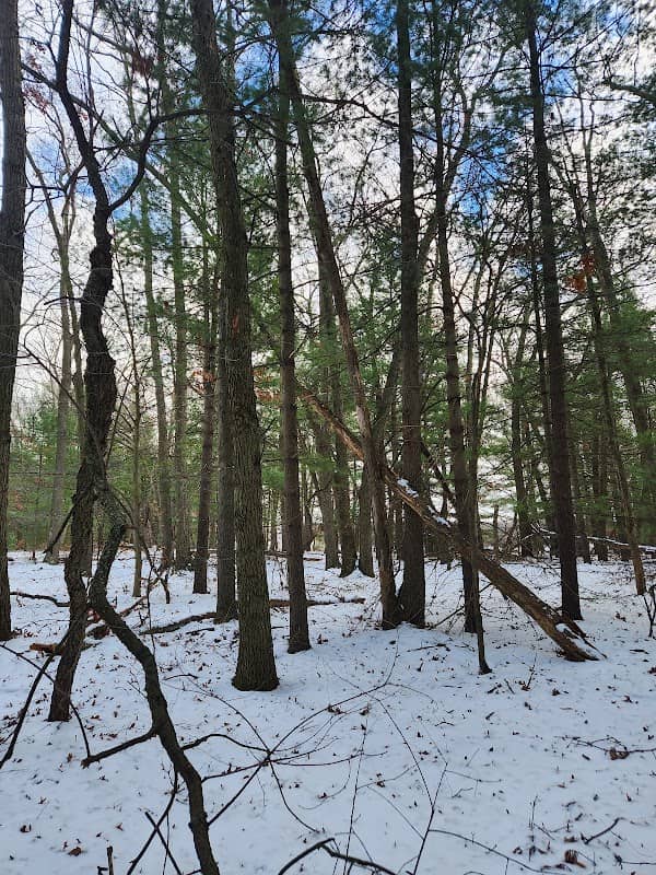 Five Lakes Muskegon Nature Sanctuary - Image 2