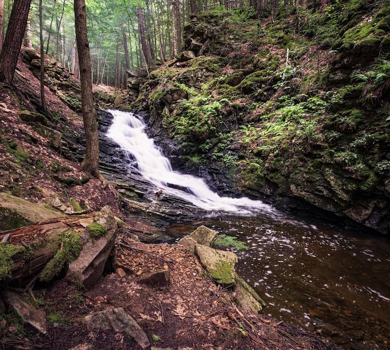 Chesterfield Gorge Natural Area - Image 1