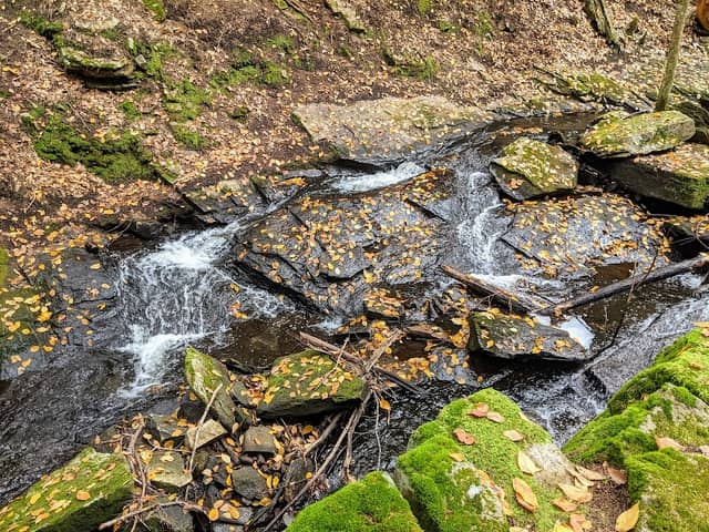 Chesterfield Gorge Natural Area - Image 3
