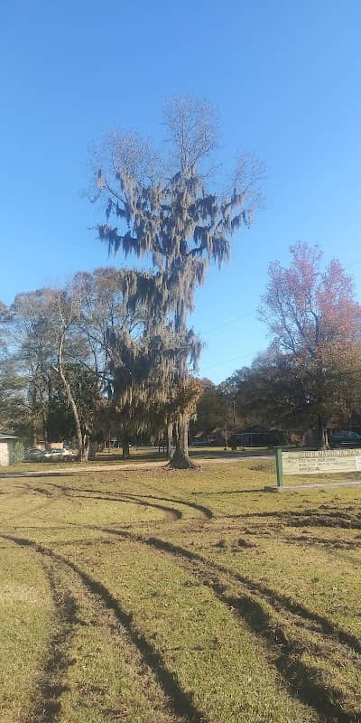 South Magnolia Park - Image 1