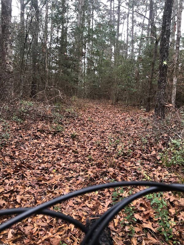 Trail Between the Lakes: West Trailhead - Image 2