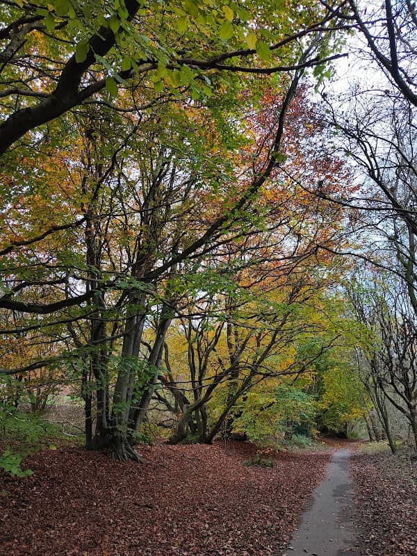 Outwood Country Park - Image 1