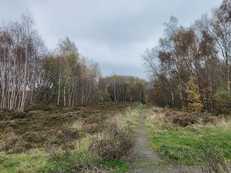 Outwood Country Park - Image 2