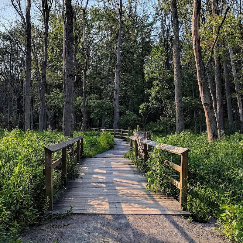 Tinker Nature Park / Hansen Nature Center - Image 2