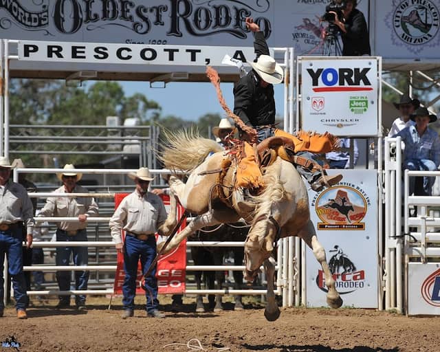 Prescott Frontier Days, Inc. - World's Oldest Rodeo - Image 3