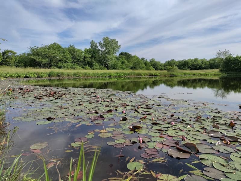Bonanza Conservation Area - Image 1