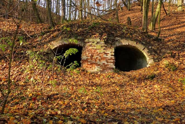 Wąwóz Szaniawskiego - Rezerwat Przyrody - Image 1