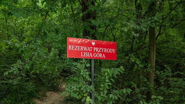 Nature Reserve: Lisia Góra - Image 1