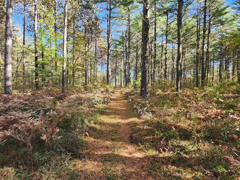 Tenmile River Demonstration Forest - Image 1