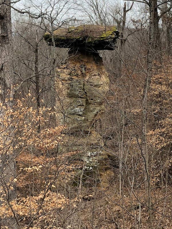 Jug Rock Nature Preserve - Image 2