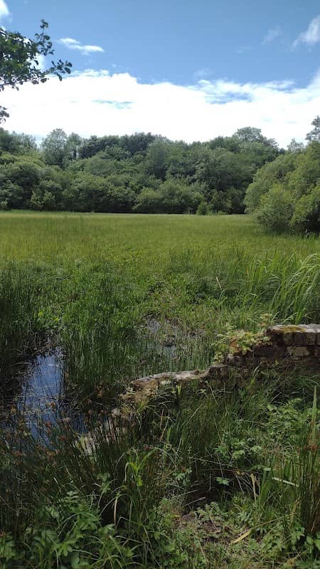 Merkland Loch - Image 2