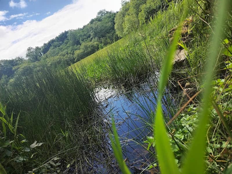Merkland Loch - Image 1