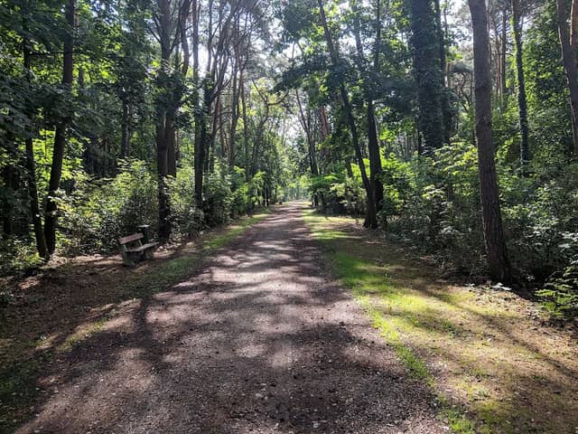 Park Leśny - Image 1
