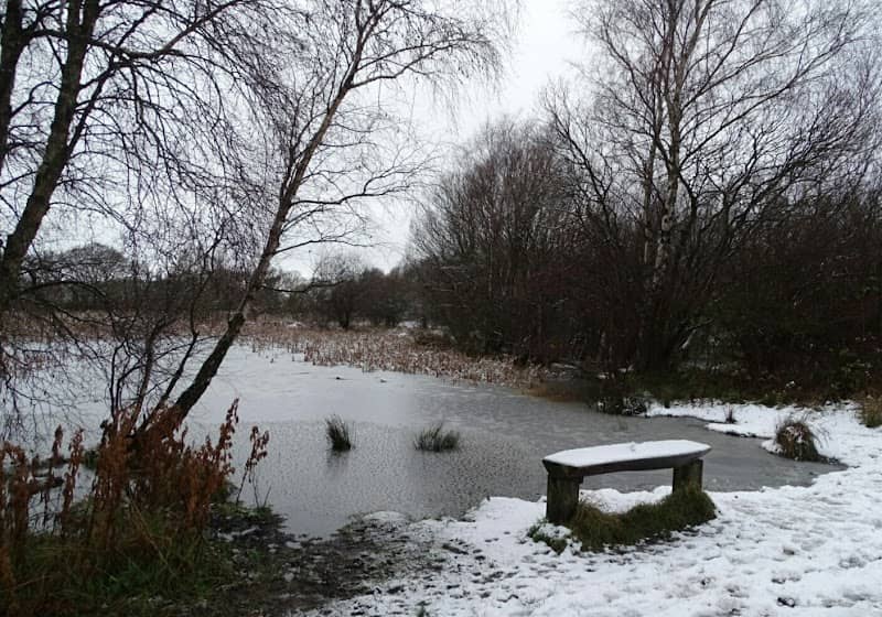 Havannah & Three Hills Nature Reserve - Three Hills Visitor Carpark - Image 2
