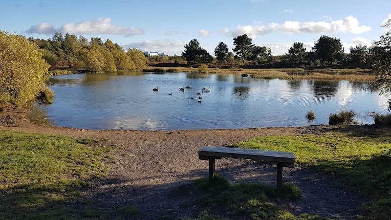Havannah & Three Hills Nature Reserve - Three Hills Visitor Carpark - Image 1