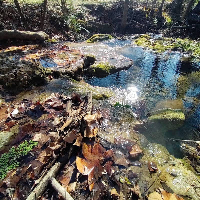 Twin Creeks Trail Cave - Image 2