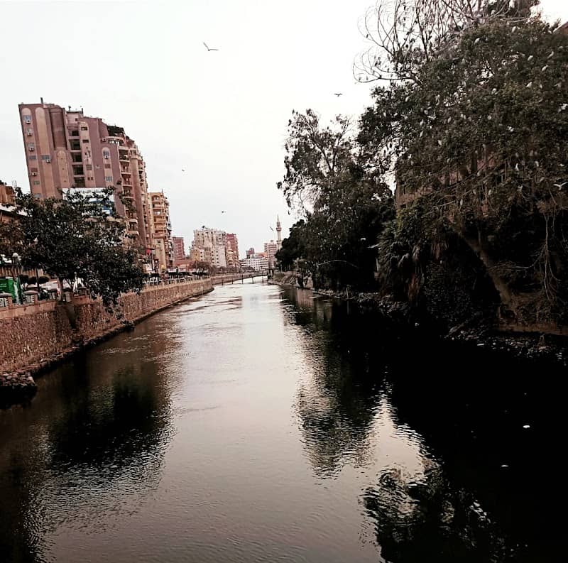 بحر مويس - Image 1
