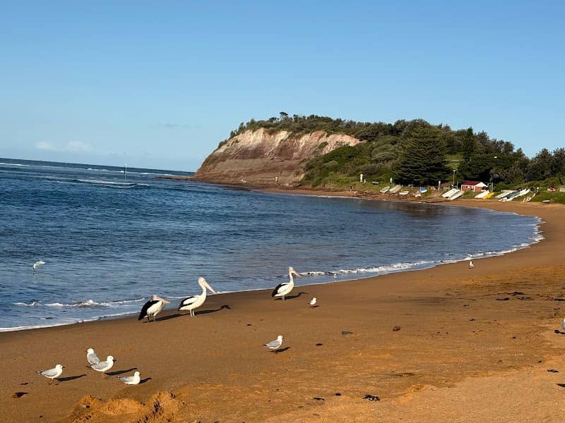 Long Reef Aquatic Reserve - Image 3