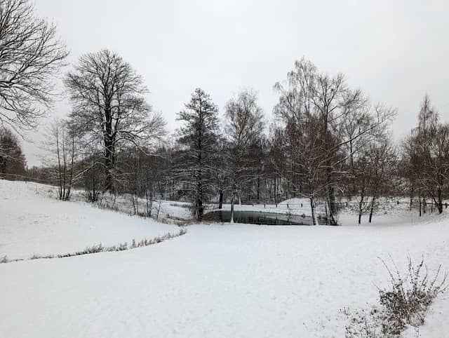 Angelteich - Image 1
