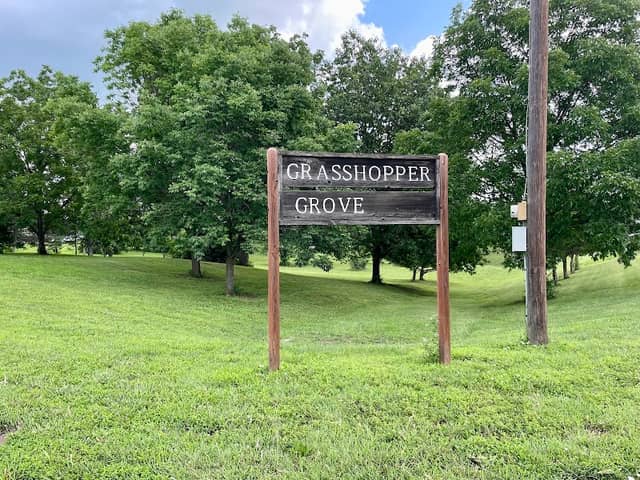 Grasshopper Grove Tree Park - Image 1