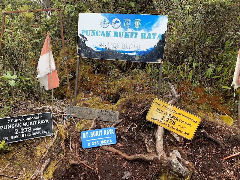 Open trip dan private trip gunung bukit raya jalur sintang - Image 1