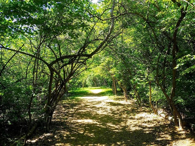 Sycamore Trails Park - Image 2