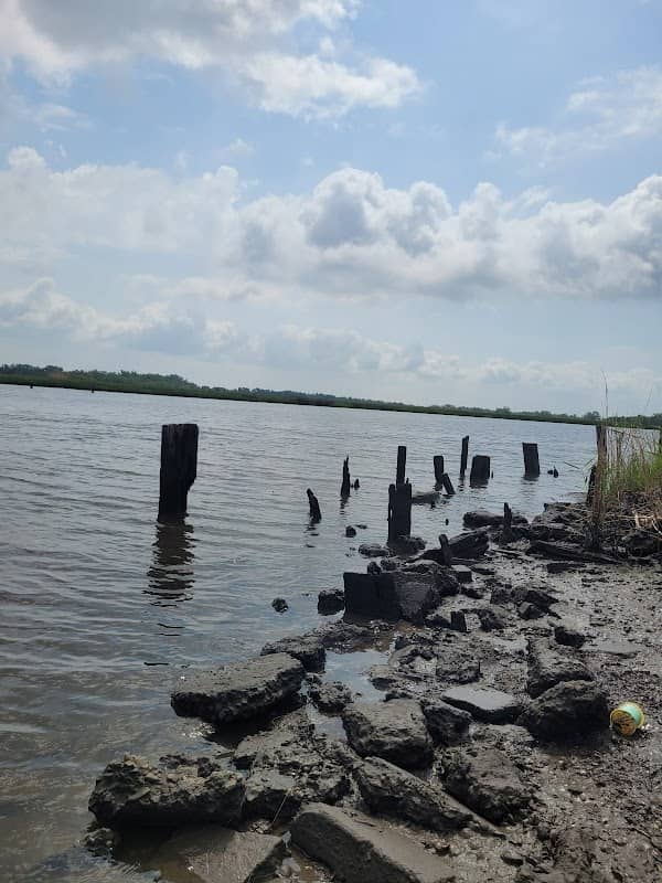 Choupique Bayou (Birding) - Image 2
