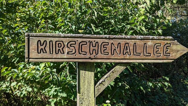 Kirschenallee - Image 1