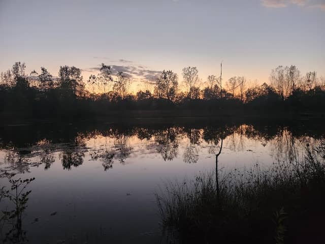 M L Red Trabue Boardwalk - Image 1