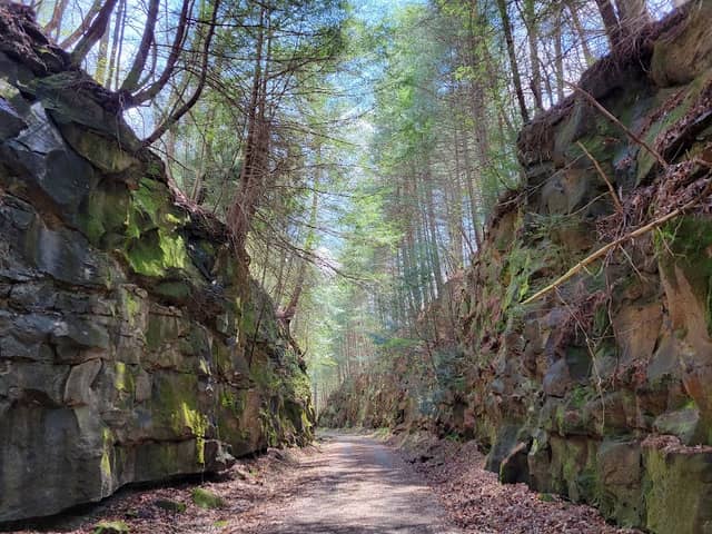 North Bend Rail Trail Access - Image 1
