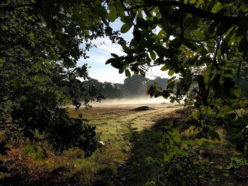 Earlswood Park - Image 1